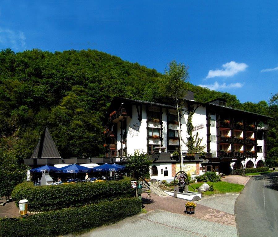 Moselromantik Hotel Weissmuehle コッヘム エクステリア 写真