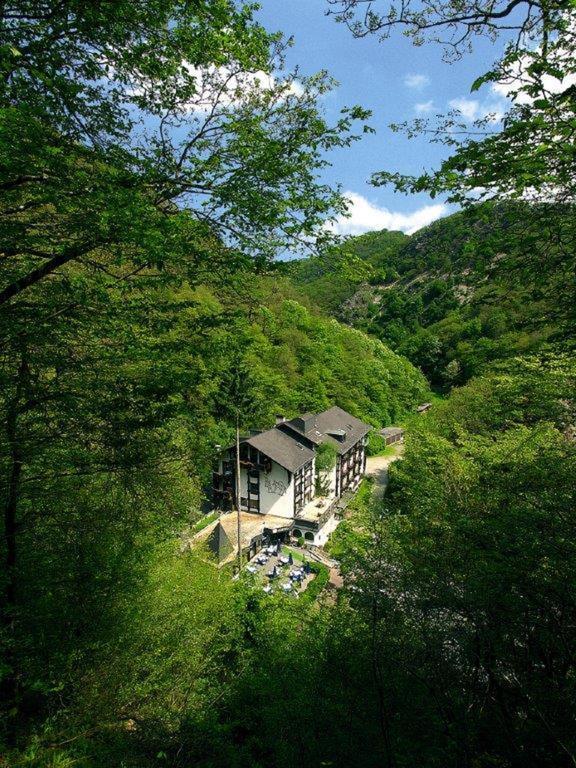Moselromantik Hotel Weissmuehle コッヘム エクステリア 写真