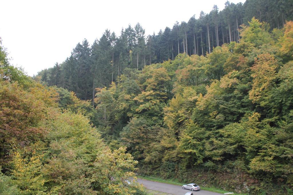 Moselromantik Hotel Weissmuehle コッヘム エクステリア 写真